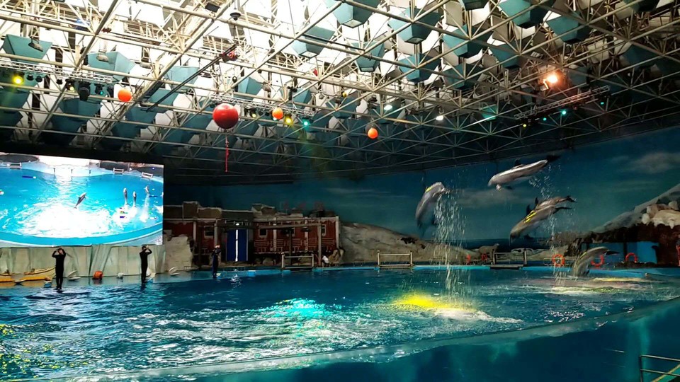 qi7op-RGS_pkTdsKp9CB1P4rdc8QwKgxa6L8ASWTpalxilf4JxwXFmz08EMpyO91