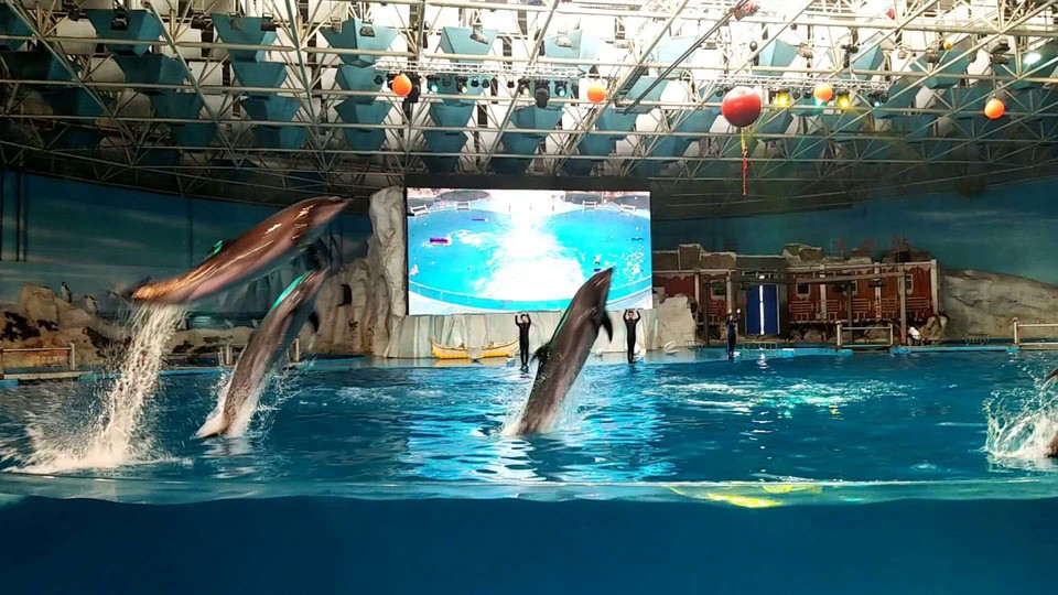 ajgGBsjSzJCKrWWbBiJ_lseGfwG07cfMzTsFjzQ5A1qQMBg784jHTnljqT44lH7c