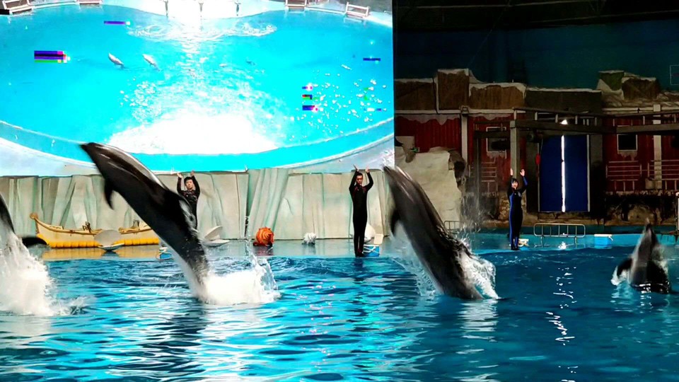 dUc0fo8KIVgKiCEJJ2NA4V3dIAqntR-pHNidpyt0JI0mHGcymea7Z_FVya1goIsB