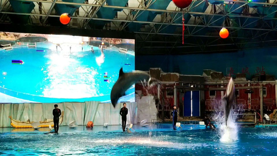 Obfoi1PNpaiSkKmeotBuNvKAKuPoBtHYY_bDnnUf3o6go8f77sgGvsfDuJIanma0