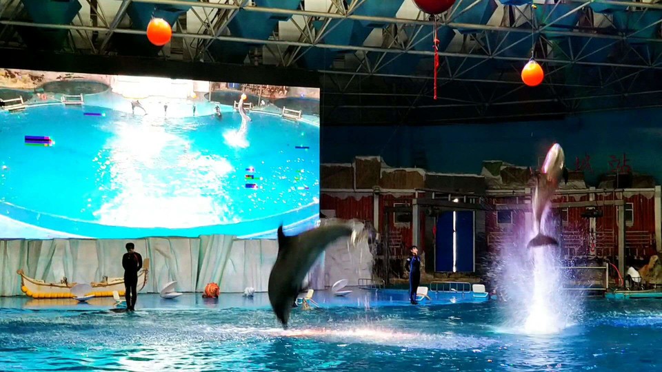 HbG2jR4meSeKTZ1YXk5d-2ps88cf_UeYwcaFbF9qjT9pxYJ7B6L4N8vw9lkMyCl7