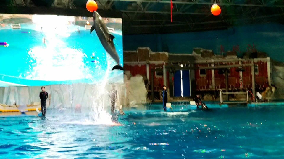 rr3YDXQYO5F1wxQ9M36dFxe-GuI8wzuBDYNTvUwN5xKfTKEC2IZomdidKbHUc-TU