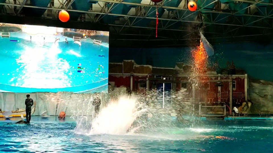 1MtI_B3r-yQ2CHrEKzXlzHUyEoIGOL38RF2TLdBttelhek-ITfSuBP2tvw24IkiU