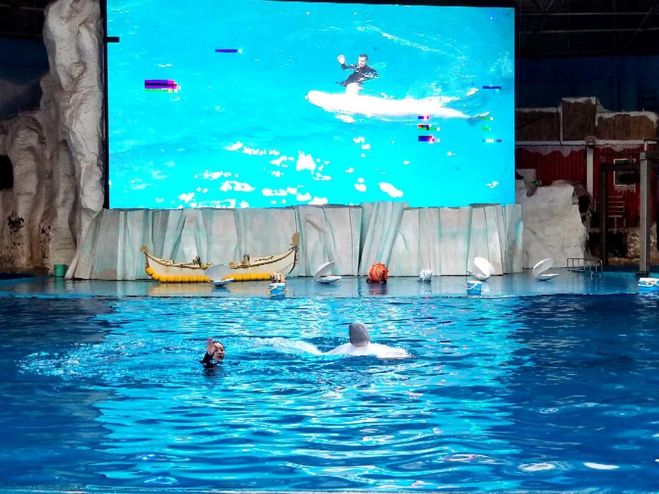 IvK1xezPT60g0phVfwgfQYULEfuPWGGnhu_4oasg-XqfnR0gQWwb_K3Cwv8XmR5A