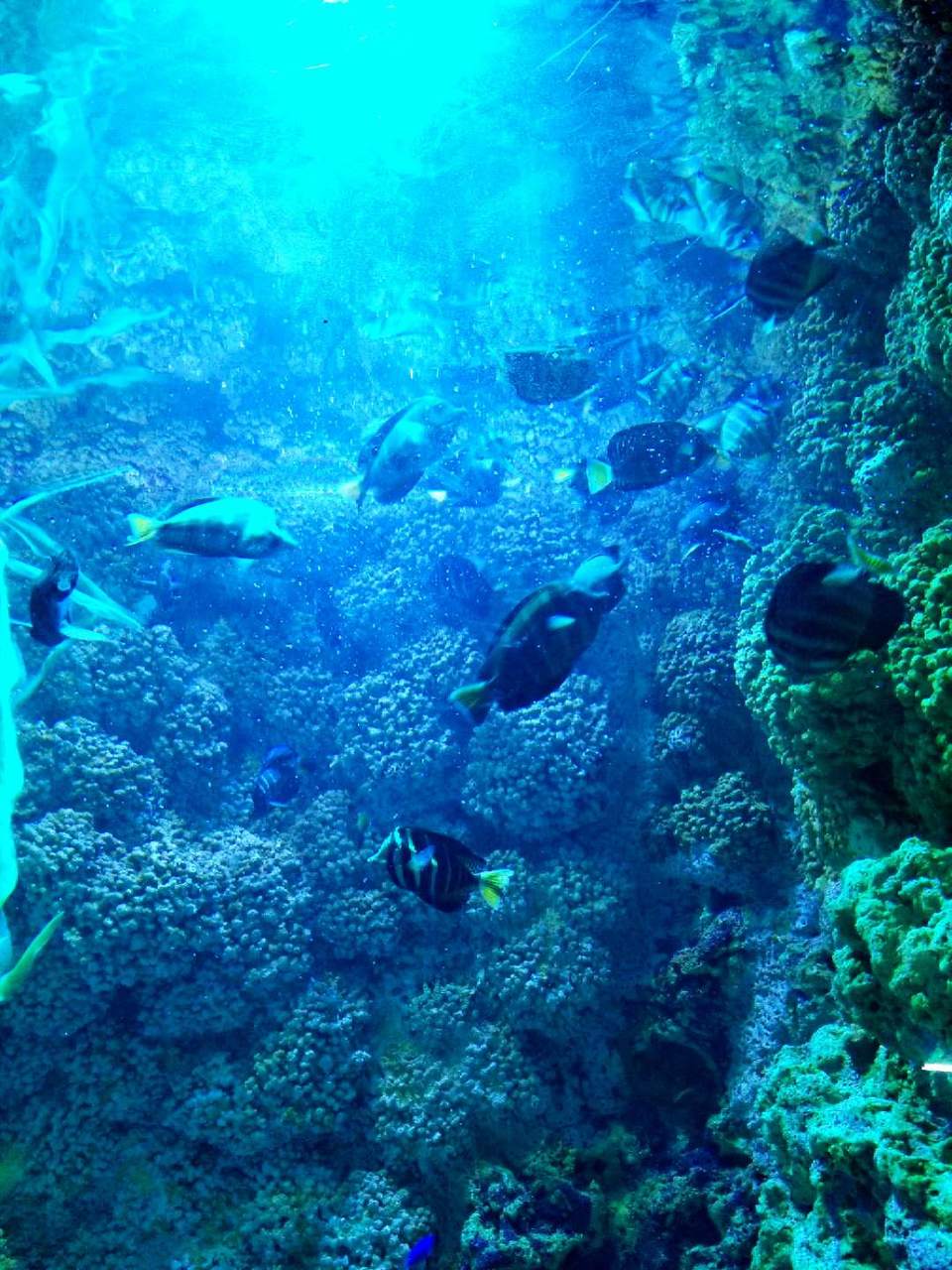 utLgXa-MAdH6EFGBWXjibcTZBHJxc54_R3M4lJzUG-T0z1C4z_d0uDsJ8BbgrfHL