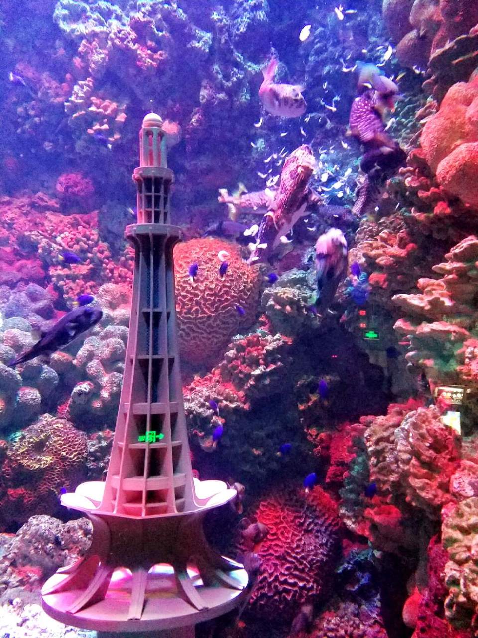 3bEHYrCuQ9xyaHYxk4dbhwGXjS-h7Q-dBt3KfDARJGeI1jwgBURfvkE9lKWkFICC