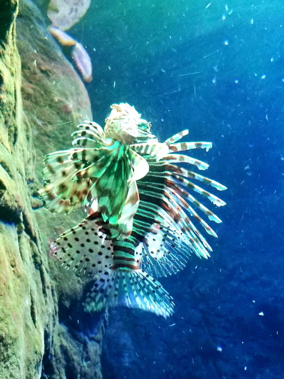 UywfECc5OjSiVcwwNhiWw-mCenAgWYbWdyZYLX0MGHMQj248nN-Pc_lSeqEC9iW-