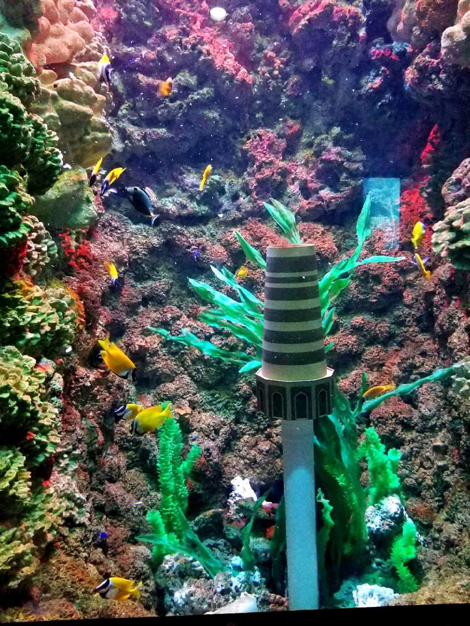 nsggG9jl6d5vNqh7dwG132ci975IeckFUHjTtNFxH3u67o5eLLeYbcK0JDfBmM8F