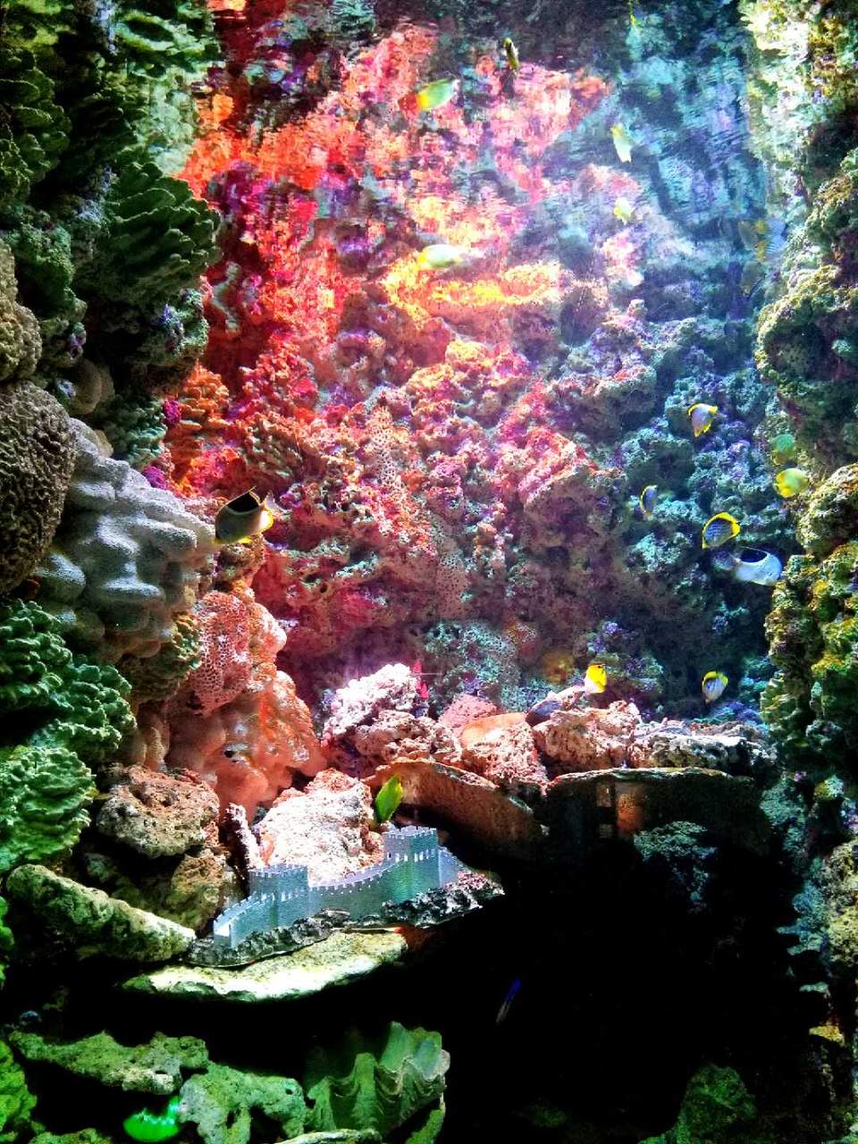 8DdF6Pso93agbkCDjBmVMF-dHNkGgfctKxt0I7harYz47-8sHVpgqkVYh7T0hwJd