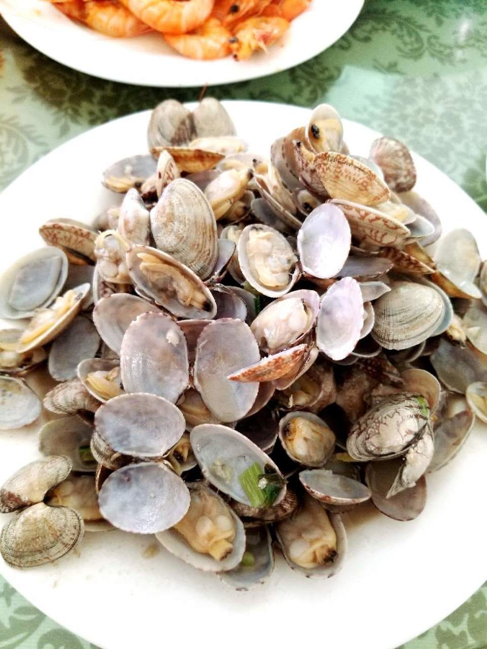 LEiaoYhwygp3QwaKkg0EskdIo5AdrhH1BYnwFo97Z464w9LvobT62rBjGFRcahu6