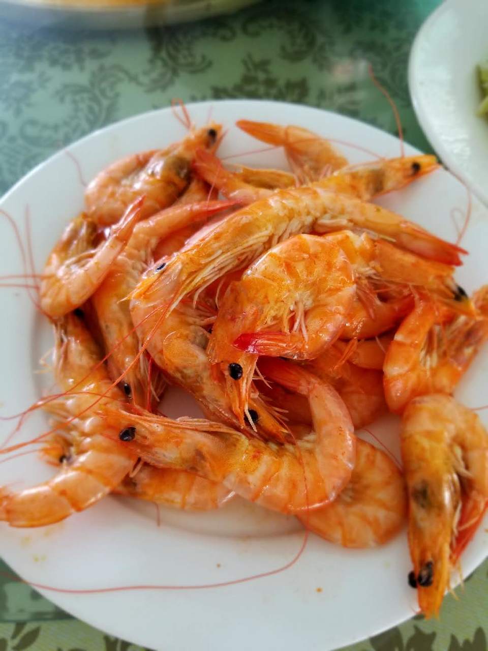 UIBkWcxjdeeO1_PS73FMuniJ5pWoKgF0XPBupPUV9VNgaxt_llN63ZgDBFJ0UNFh