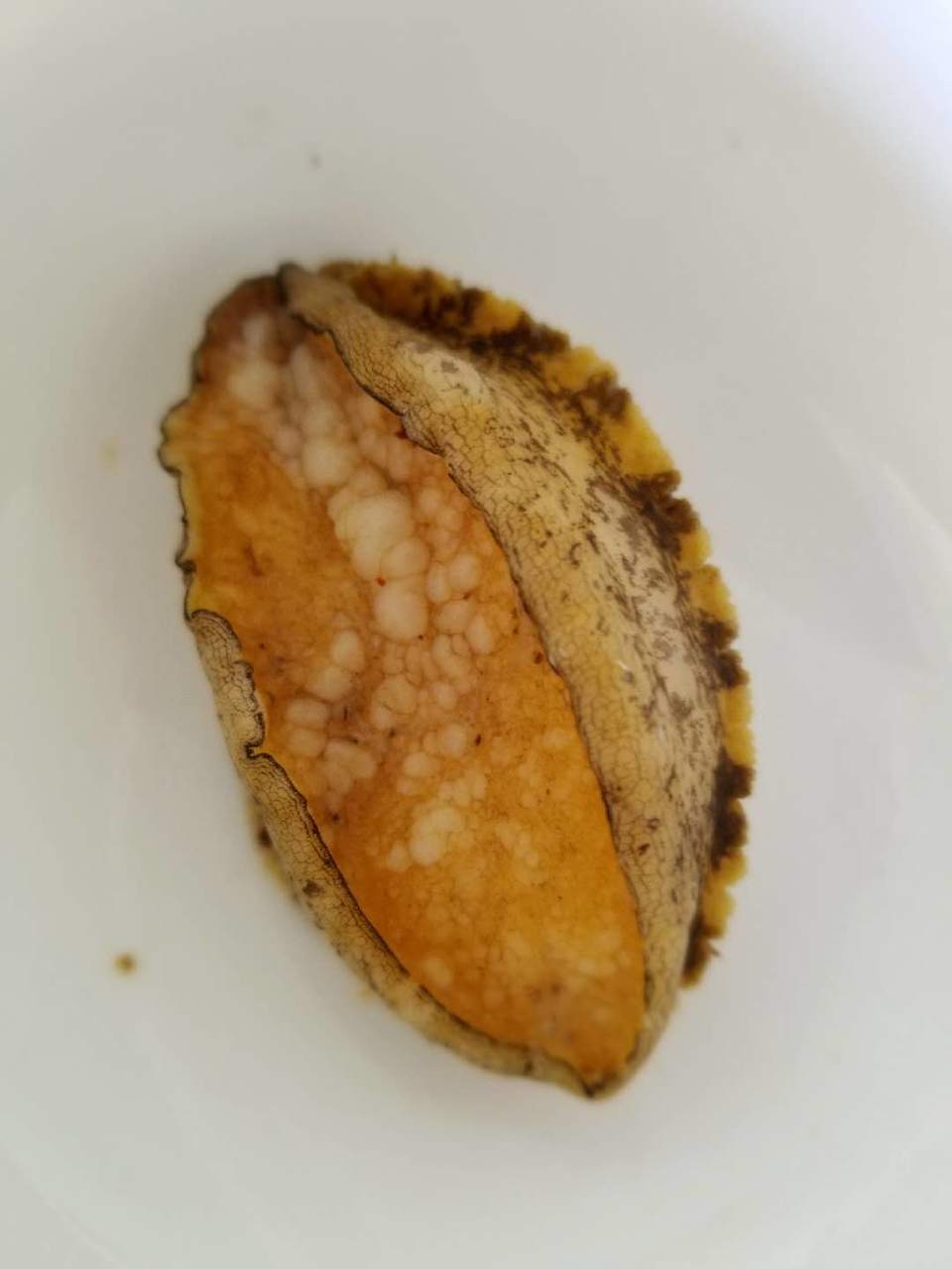 aGtINrzLOdDaFjW8dkOpUB9d3uLNi4aIZIl6YDVYOOmD7g5moHYZrPdrYJkCAFEI