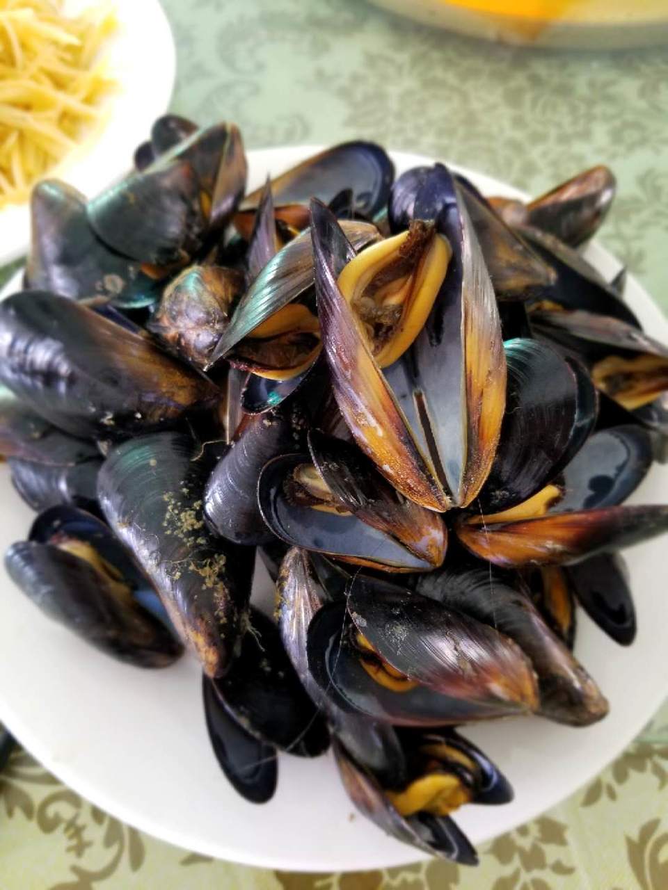 pozm8n75iwD38AhQoQGRrHf4uZ2EV_zqu6MkRtDyJgL-1mI0gn9M4LR_l66SlrY5