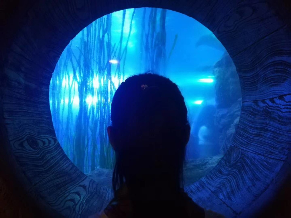 _XQXH0Cv1n66rP4BbVoSsy40STNXShxQUBOKL-z9CXhlDJylfTk9sJIHE6R4arcR