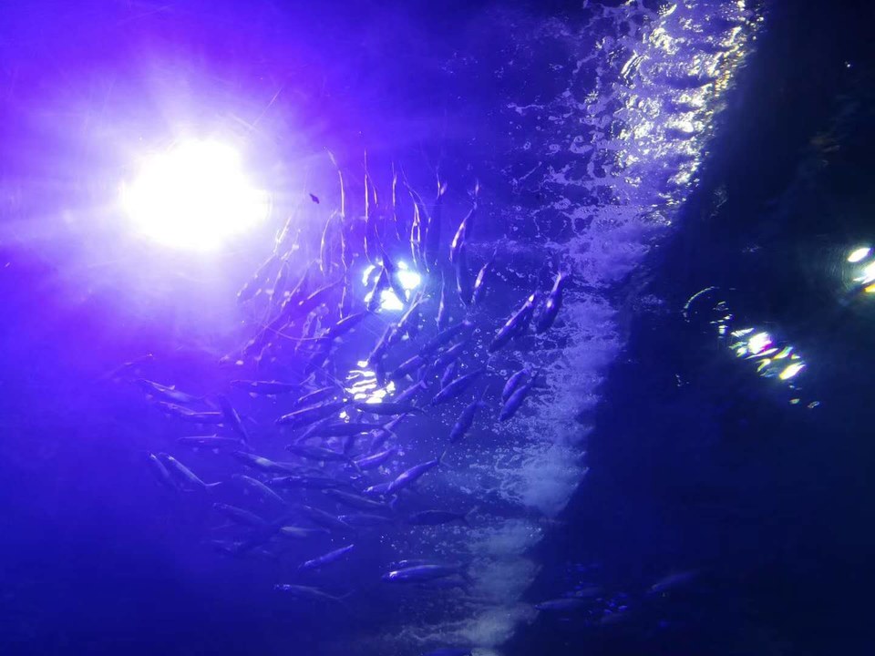 07VDK2NRR3LvI4wJLQSHdtp4_sfQFZlr5zkSstQ77RzQtuS-pOWyN9H8NyvJEBZ7