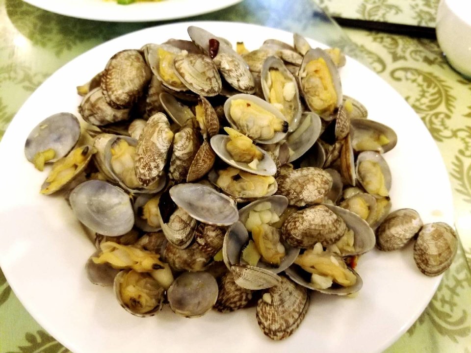 bLOqlRcRULbRQ8eEtiiuzqMcRI_wDCeg6TIHM4fDhjgw0fGpyUHSyV3YafsaBG8t