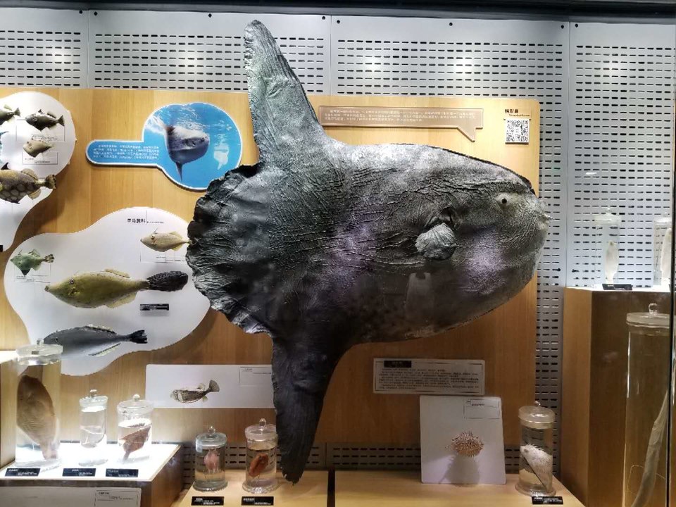 gidRk_52wNbRrPf5m7GOiFKYu5ThYBKHtp-OHGVp66u64Y_yCFpMI87JYKA3WTJG