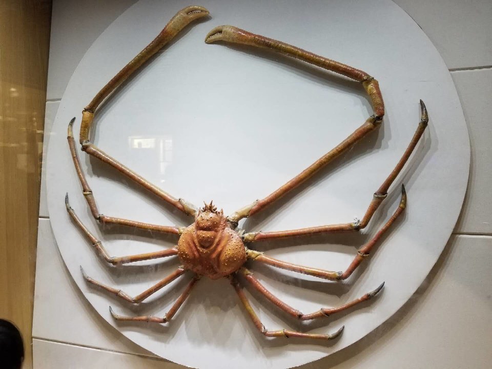 vZoojfKTsgWO8AHStbfiEVnGOxv7gBBj3LAShMKe4Kjk1qdJHO9fzfrXI2NYnr4y