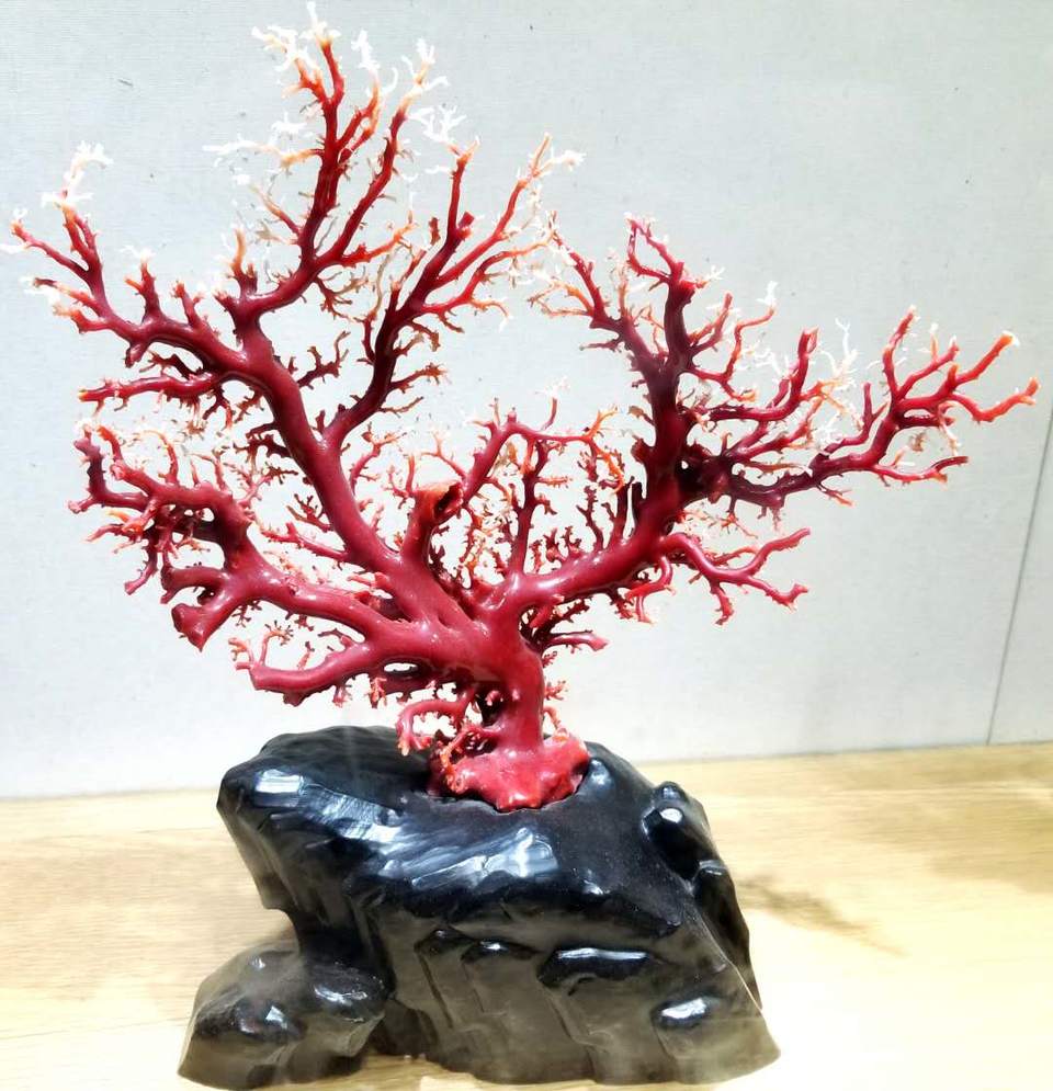 D15cH9AVU47OahX7e7MSeRpo43uuI2EGi3txtho6jGs51SA0669Op0trnaU8hWzg