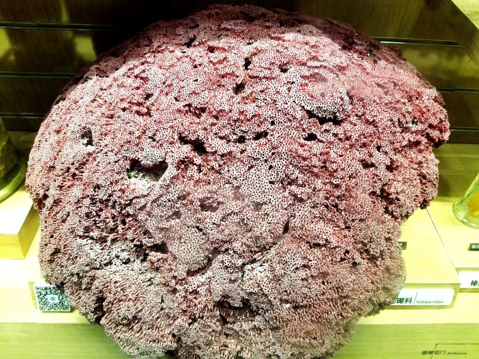 z1c9M-RR8QIivMl5lwvx_heHE0z4eLH3xcgsKjVsO3zWvqAjvQJhV2vqPcv5s5uR