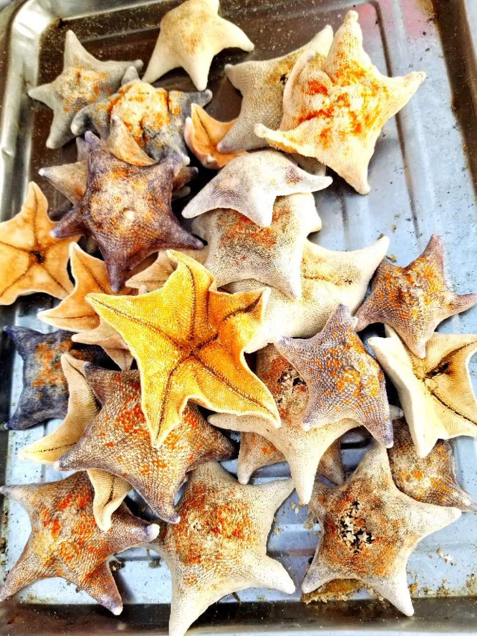 GRIDd16bJ6YM7r_hI__U05q6AfH6lxH_tWygJS_3Qsr2WA7uoyMecX9C-obgnS1Q