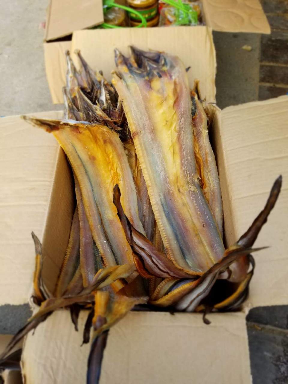 K8JjyZzZbyE35B4wr8ngTO0rkMNFPl8RSHPVO4S_w6ABK9q4yPuBl1-NaIR1djJM