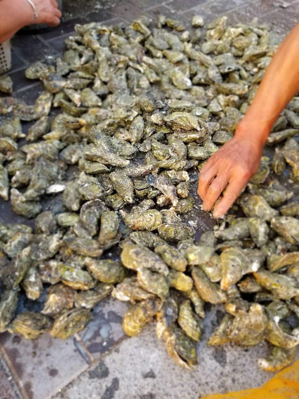 qWeVIjwA3tRb2yNUGl7ZlWpTnhDbgNjuK3G8SMc17I-QKEzcypy7Ok6z1PfzfNGt