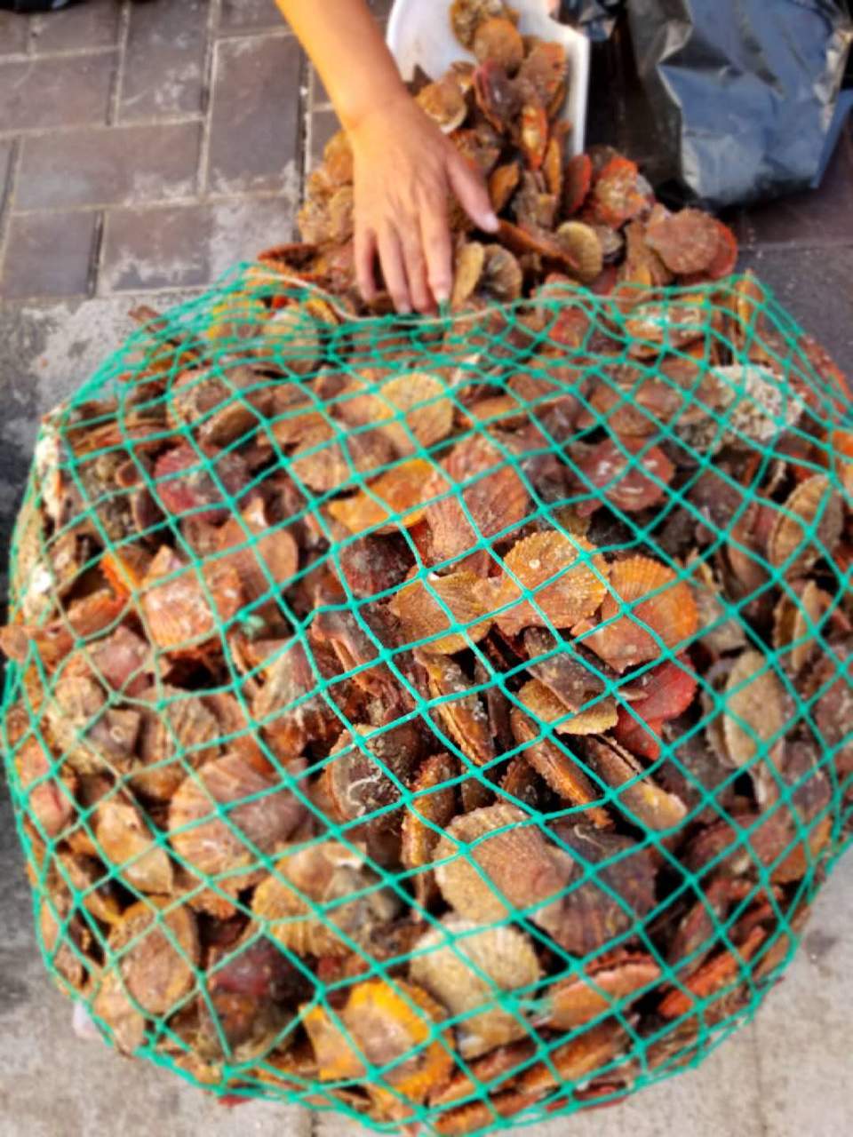 hVklpPz6vfZFHyDmlqnOCBxlkispFCWB_3tMjmteDjeho9aIXmj-ZSHikleszHrU