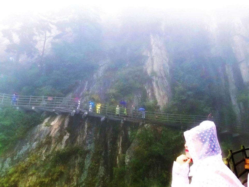 W0xzexxQg0k5bTpc_IWnDG1Dyrro2_5Qg51w0krAeM3kHYpxArie88_W3XU8EKH7