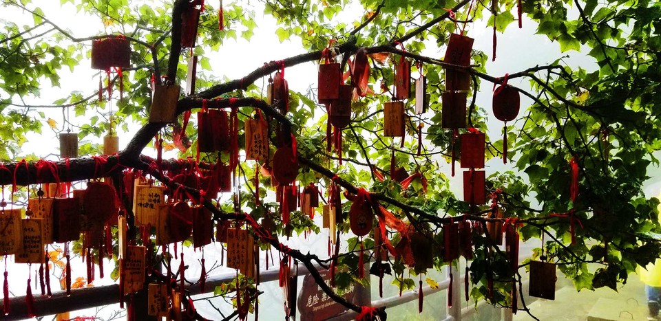 7DDFLoMGbNowAJNWNCWWiiHvKG64qdZasHPM7v_ruH30XMo_cR5V3jARx3_SfMYS