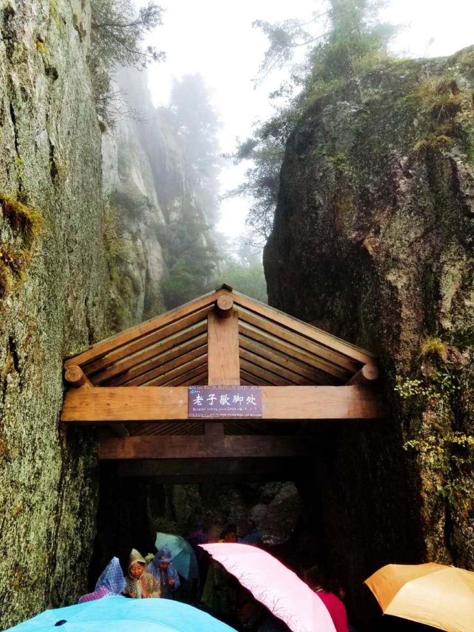 tk7J3NwHck1aC9W8ljZIHvm39oaxbYV4nuc0V3G8l0e5Zy7Ju_AuffeykJZ8ZzEN