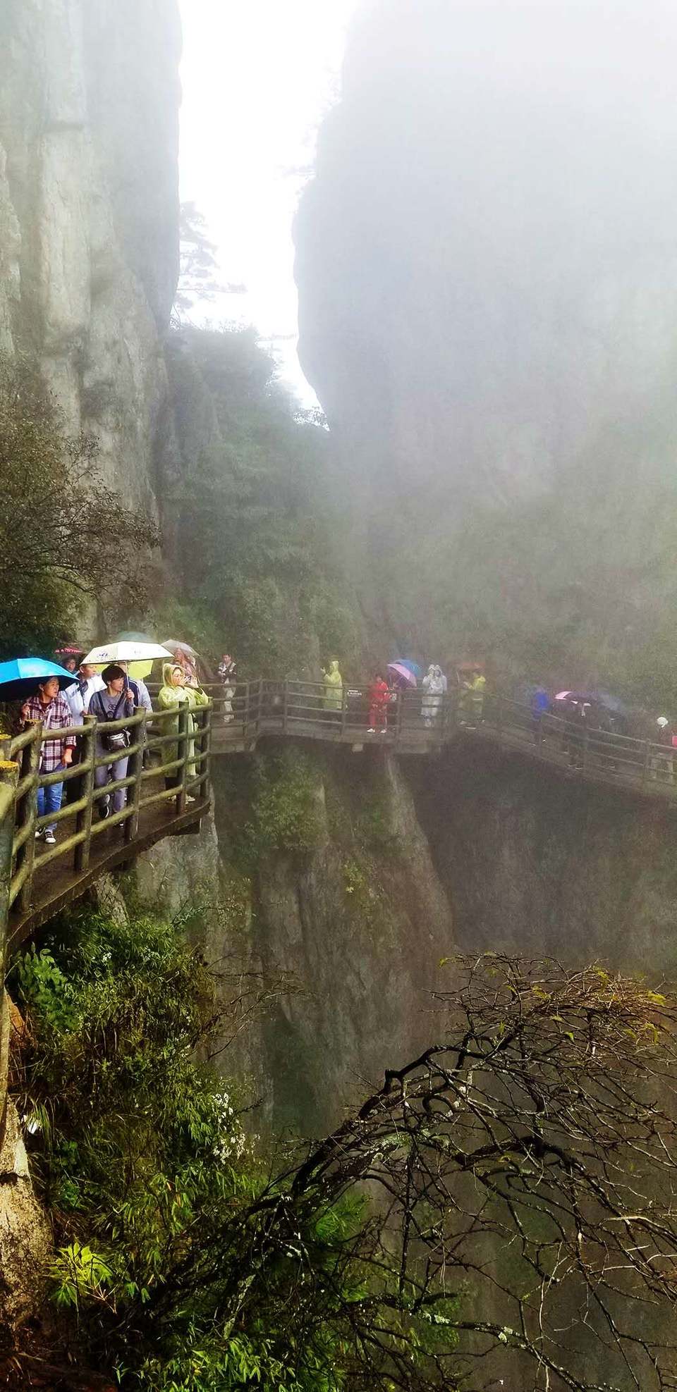 GSjG14PNoBoAo3cvj-cgAgBK1SPyGM9oYoO3XCPgMl_lpK5ryFxaiL09_SiaecQe