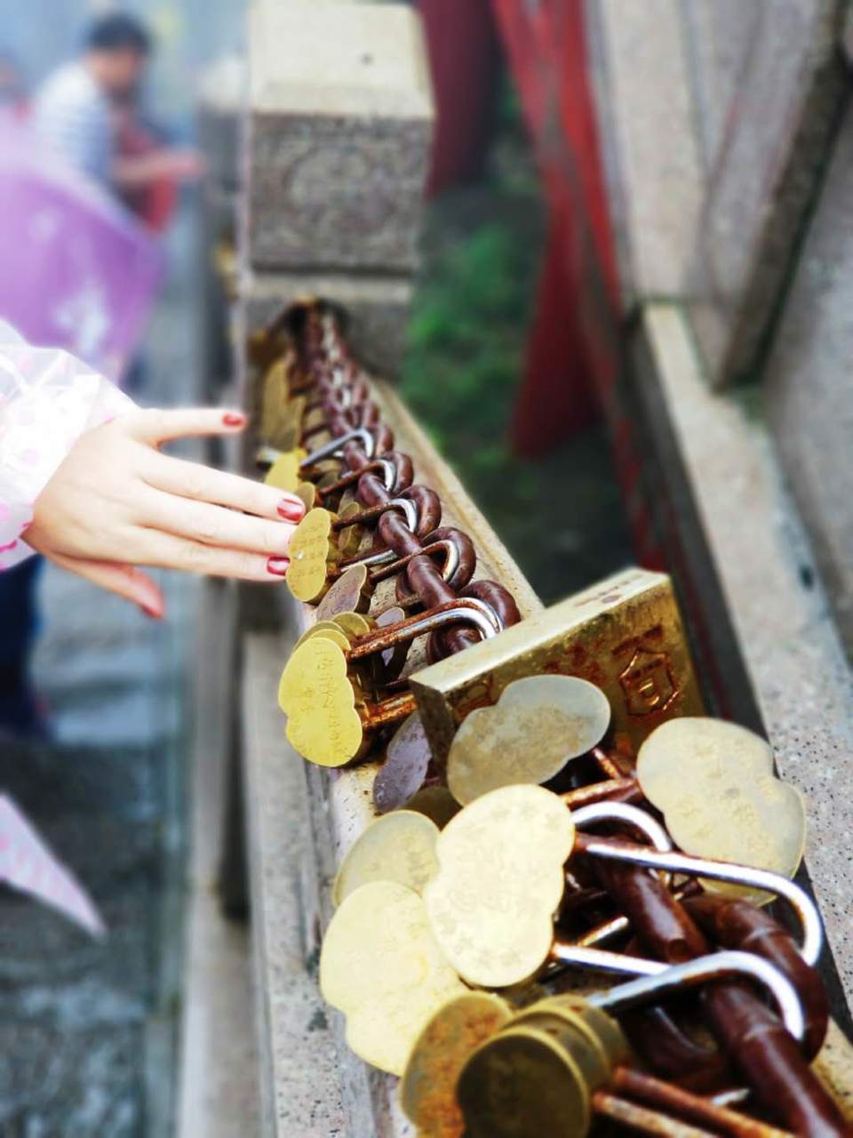 J846N1IxMDApPb-C91UBsSNlo2s6s40_9m_bcR9smQ_V8QY8TnyYLLX1jeTkYmPF