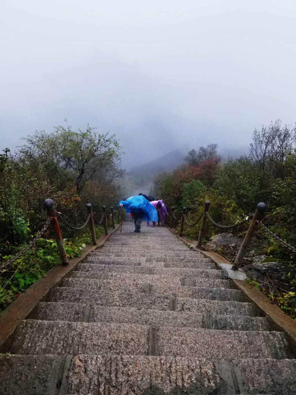 cdigLjYBIJhrTFgODXo4iBJ42Jd7BvDh5iKGhTtu9WpYFO5nGdxRRCl9nmn39Gw8