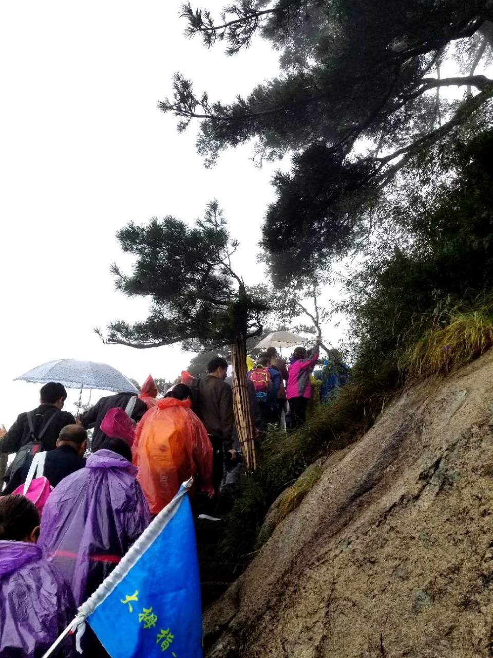 YKs6JM7D-18TuvX450JpQ2n4lhhByR6EReV_yOFGXLJN1WOybsydrriT44ESGCQ2