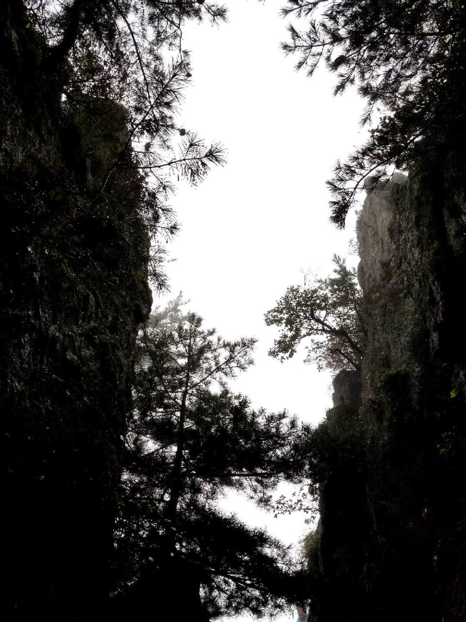 krYEcxGV2zq-wLU7NGhkLsI7JON6qnAgRQyN5lqRUlHQ9RpRWwa7Z1TABJsaLzmO