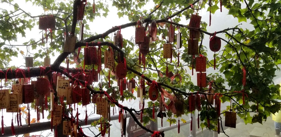 7uVDwQ77myGl7JYlBJ1X1QzHCUYDxHxlnlHwo5KbzUBDEpSnZBaPI-eCbDPzcC6u