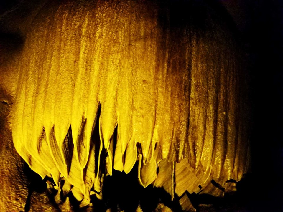 FglqOz6C_ki7ex1PjAouVezQCOymWSYDhlzfh_G__tcROiNu-lAyVq0NIFsGC9Iy