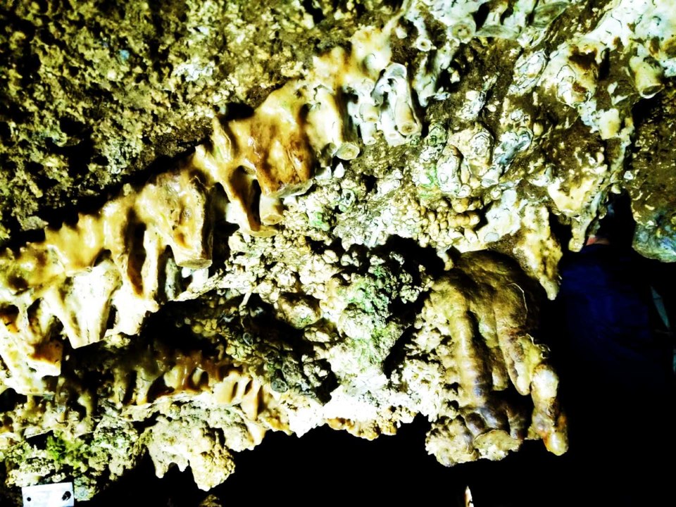 5sP1lFGfdmnKYruKhquQN5BrZQO4xM1MoODiwpbdphDAe8YilpFrRvjkCQltQmvi