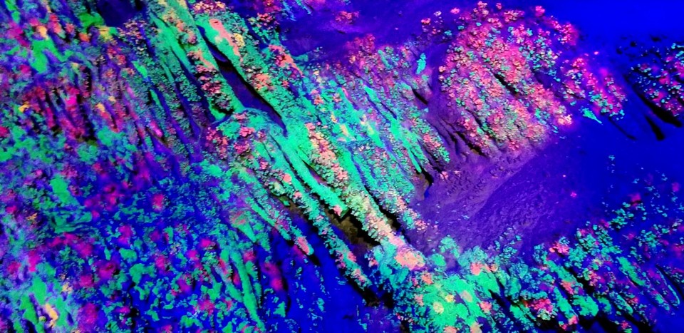 8C3tLSXQ_ojBBHkNqC7z5PEhg_5mrEE7vMXZcqjz02OMB0xmIq5w-tUGufXNAuN_