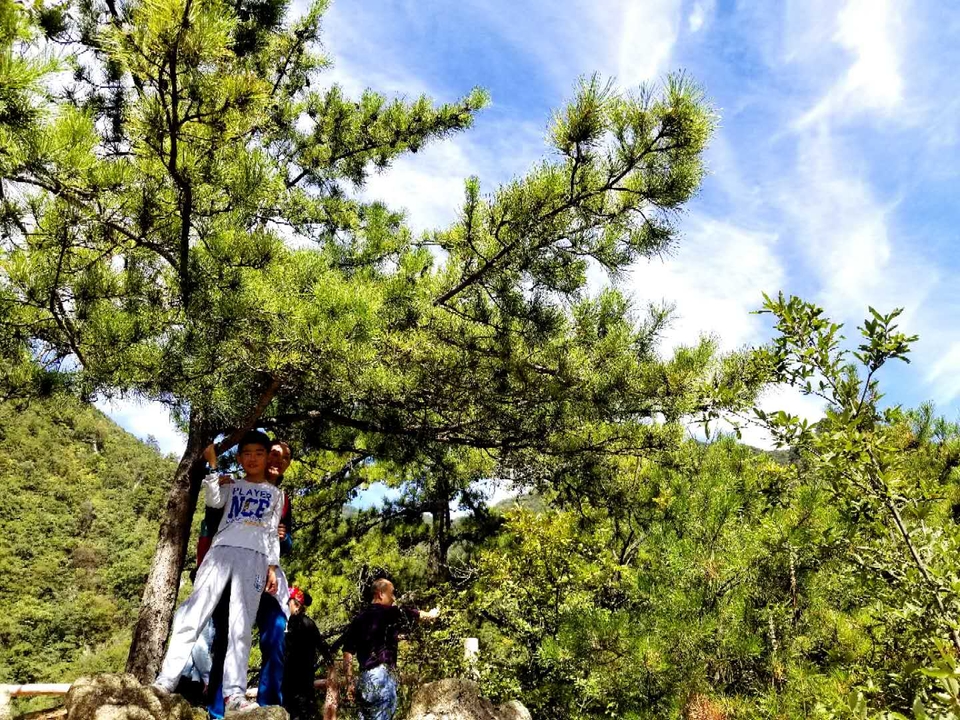 QDLURBixxQxTlHKM0AcWSUHTxrU8Qh_clavLyRu6SsJGds3jQWNjprCV1lAe3sLp