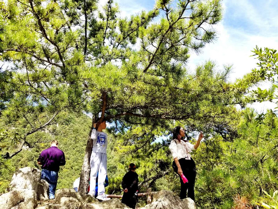 PuEjyFN2gPx-5xNZU_aqrUqa-vBiEI5yETiJdwb7SnMFGTUnUVAiVx1lK-QhZ6Gl