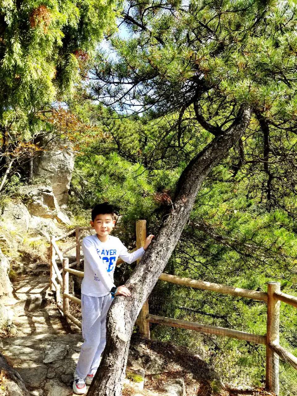 SdgIGE8f_xNpv2vGbo7EokV_KSXl2pxTlULtUijfJqixo4jZ34AGpv7QtYJSb34t