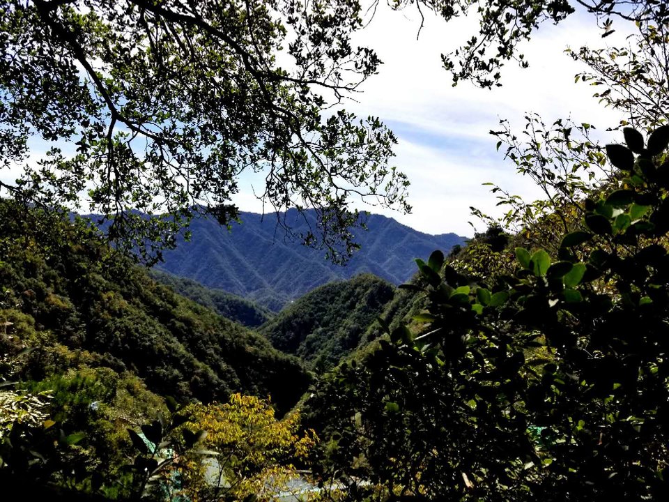 C42y8l27sSaBNaPnFE2WHmUROSnuyhan9wQfmpyuj2oSfXR-AyYOPTdgXtkbSfVR