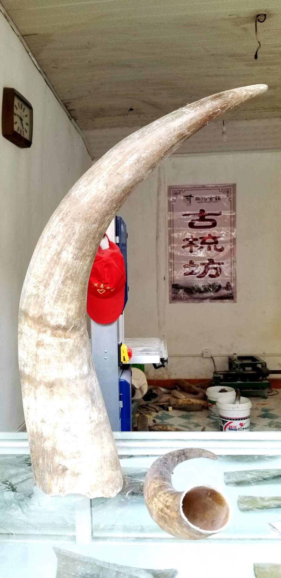 g5vp6mc4JzJ4HbNt5cx9GWDizUcaVfHGD9Z44brxX3l11xCgG9JoDBPUE5IAPIOw