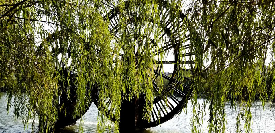 Eb6m4o25dRr-o3sMHZ0qA47zyUF5AJjhNtl_aJpqtr-9cqb9a7myskFHGeIoTXxG