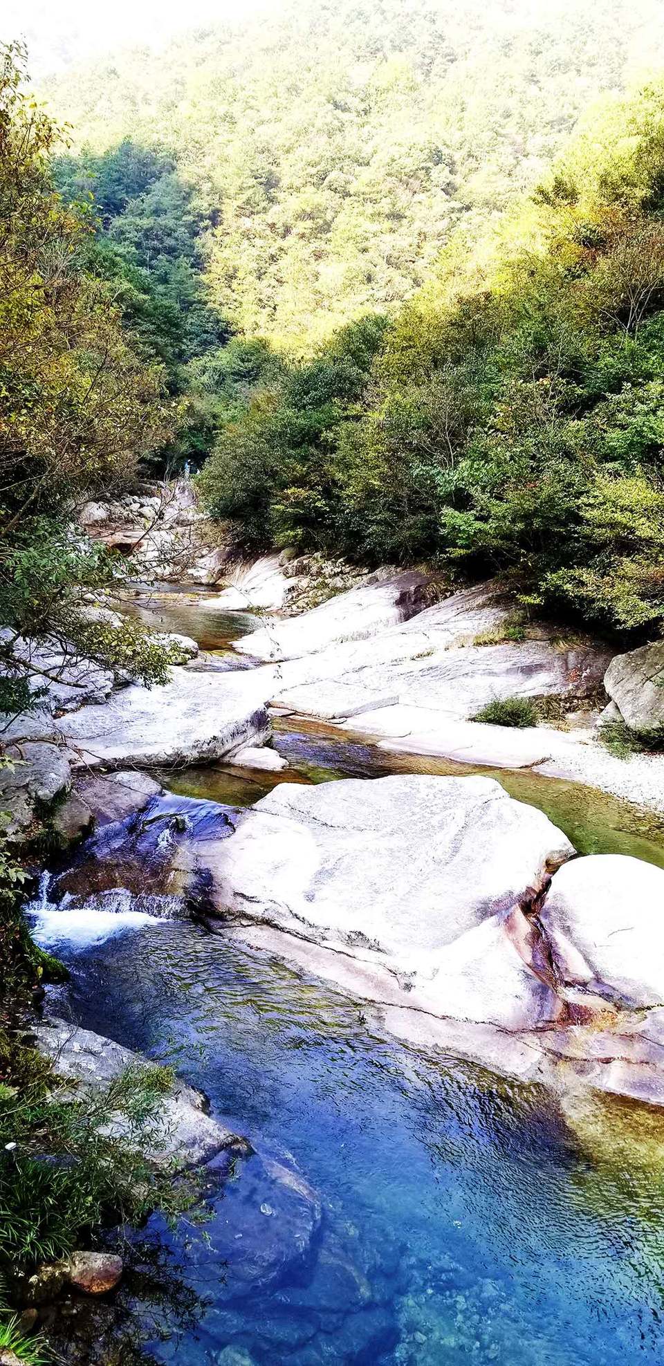 4KVRo8CrTM6KqF0djvYC6M2YzHI4sftWIHAW9YNNCXkcYxeIeXb97MTIS3w0LIy2