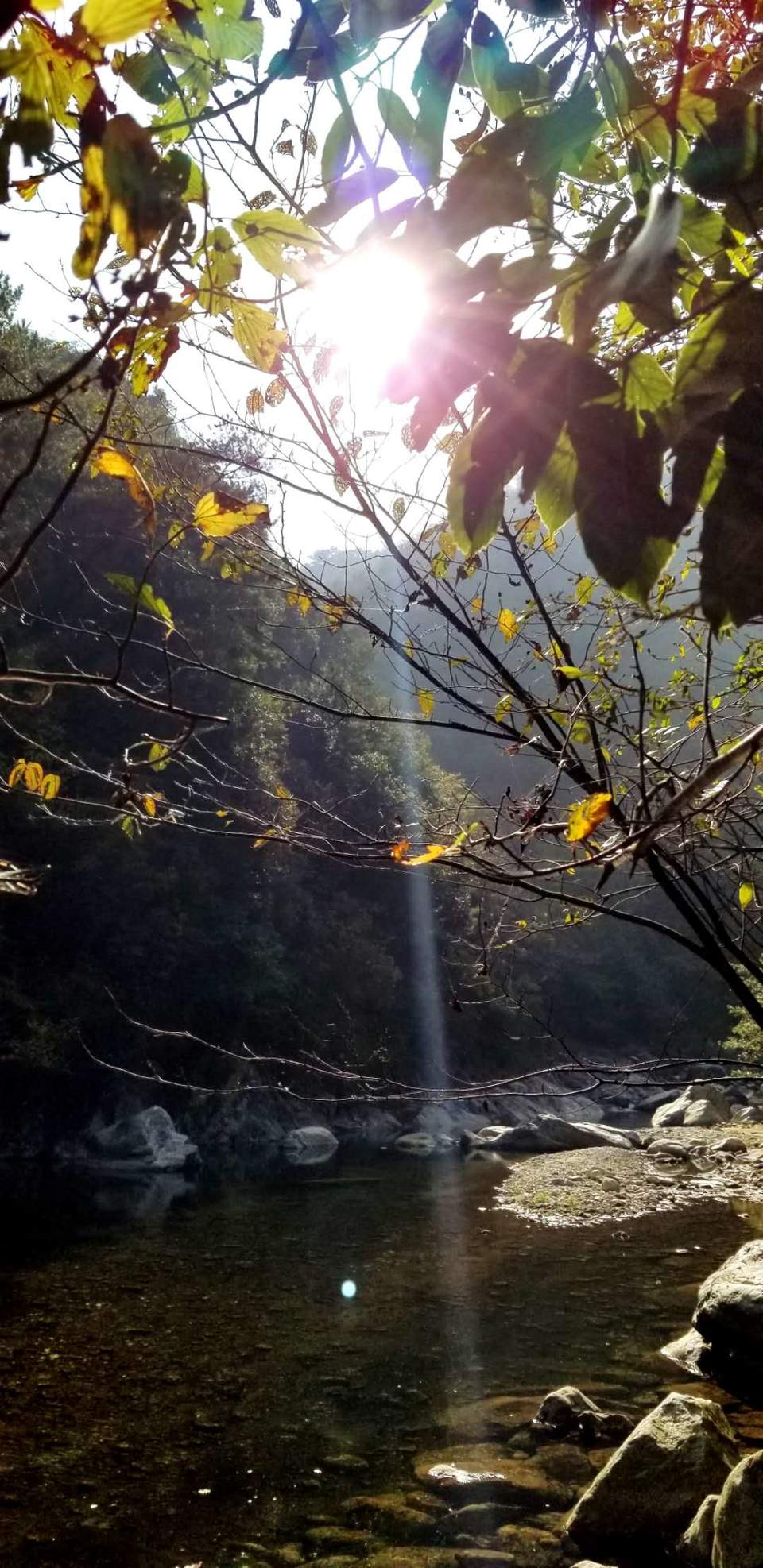 NjuoklRD8EaQCzqOPWAnTTz0WRE6byEehV29hlQOkoQu7h5GFzTI85dWja90wVMN