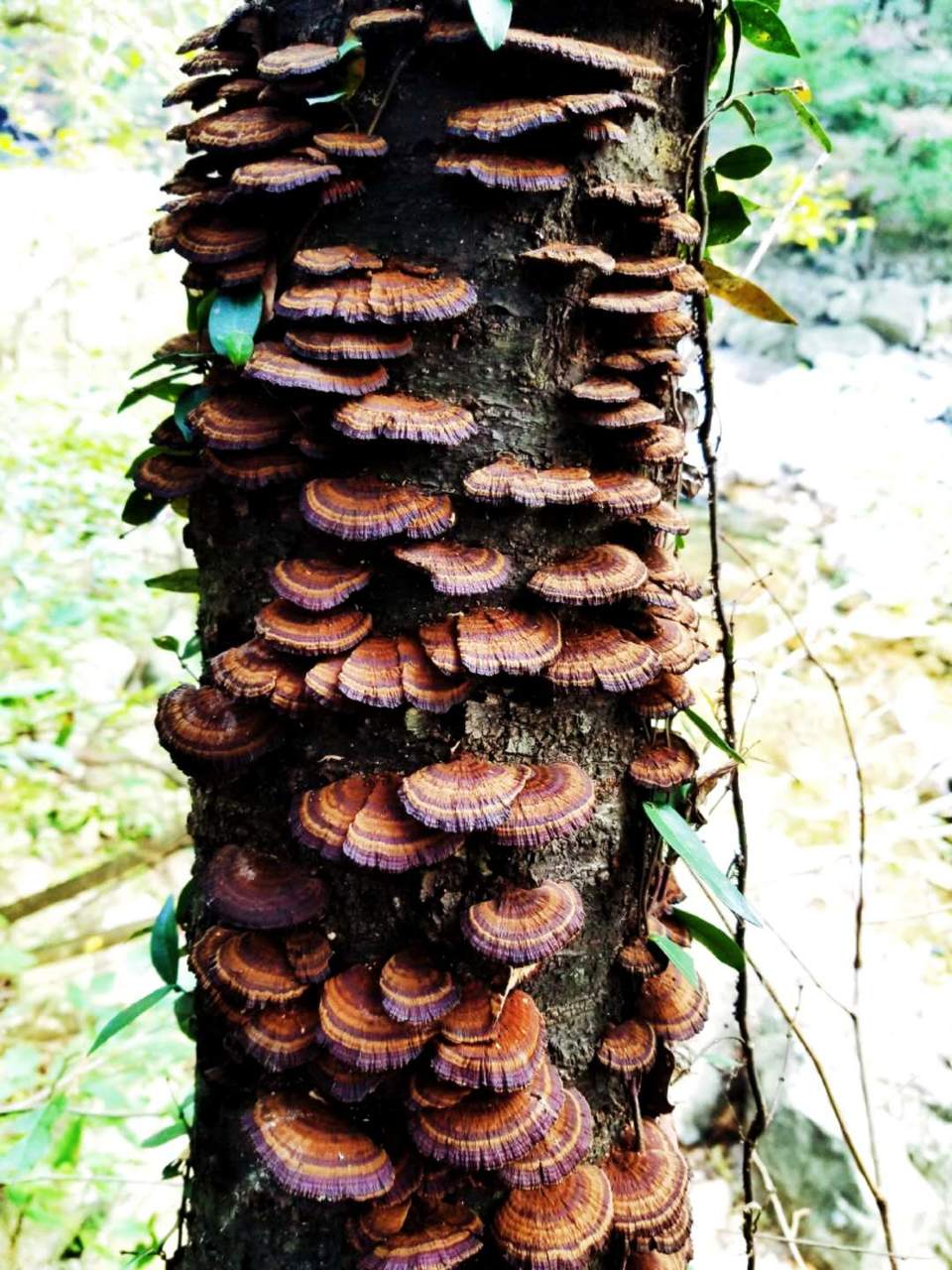 YA91nvEEJDyb_Y7teIicR6SaAq-74HSWZ_rSb_2-aV3HPi5pcnG-BCvzG4l9tvRN