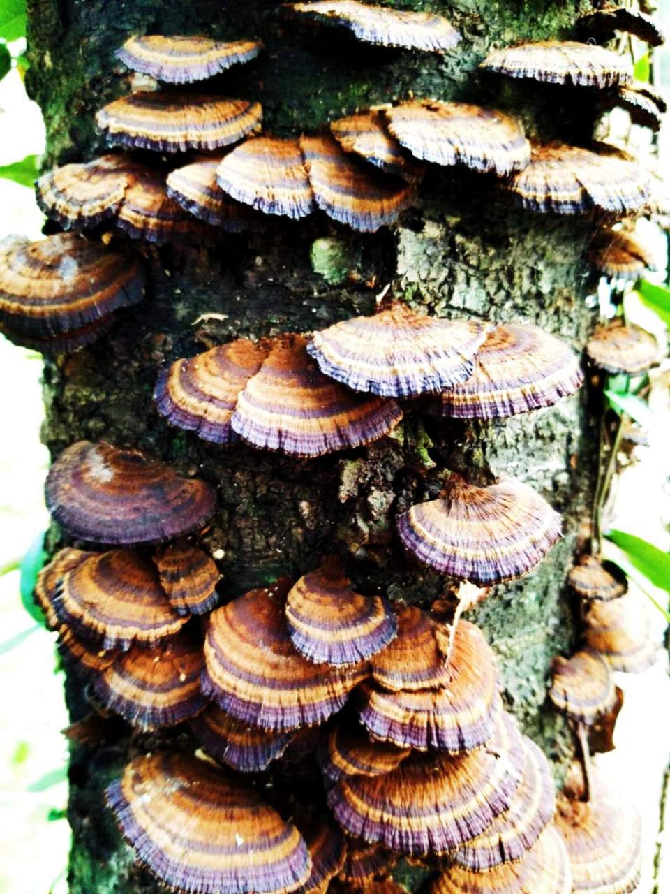 d3ioGBIm-ZPlFdnN_hqJ6EqL0E2R4uOm1TcBhw0q14cnCtToBdac0XkHz4vZqmd8